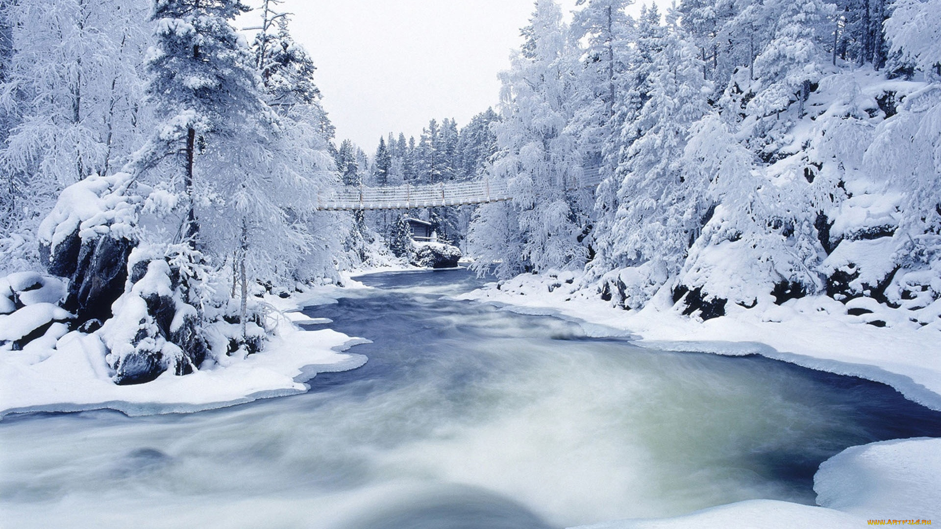 frozen, river, and, trees, , , , , 
